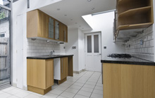 Cherrytree Hill kitchen extension leads